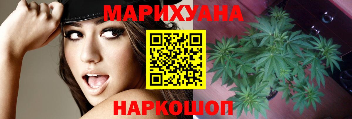 Конопля план  Вход с VPN  Конопля гибрид  Семилуки  Конопля White Widow 